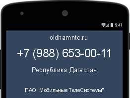 Мобильный номер +79886530011. Оператор - ПАО "Мобильные ТелеСистемы". Регион - Республика Дагестан